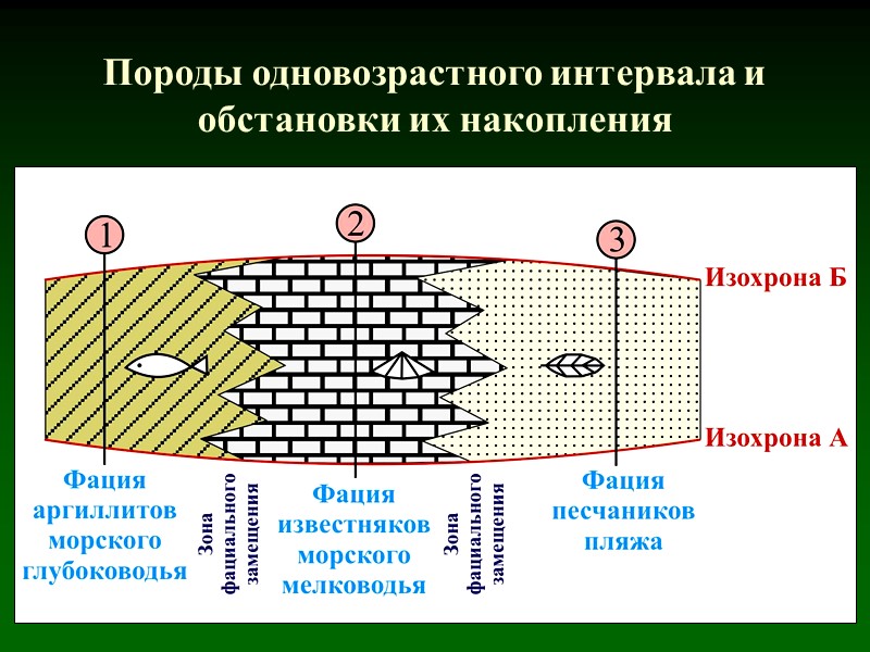 Породы одновозрастного интервала и обстановки их накопления